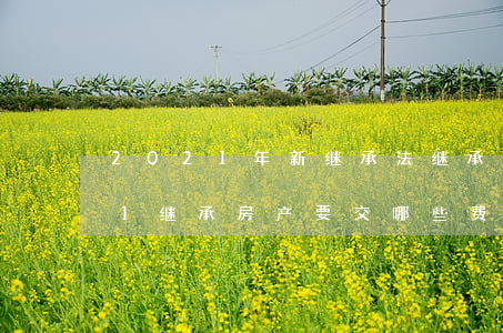 2021年新继承法继承需要交钱吗(2021继承房产要交哪些费用)