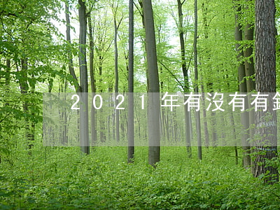 2021年有沒有有錢花逾期的-