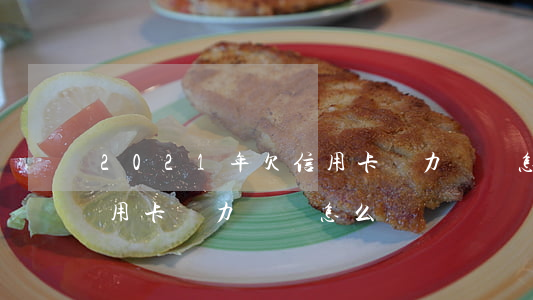 2021年欠信用卡無力償還怎么辦-欠信用卡無力償還怎么辦?
