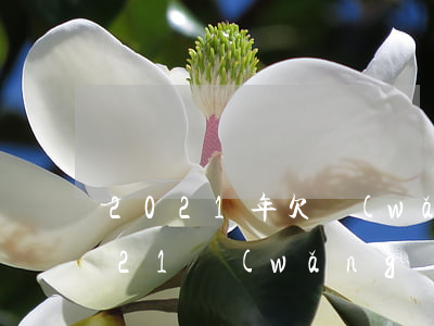 2021年欠網(wǎng)貸還不起(2021網(wǎng)貸不還會有什么后果)