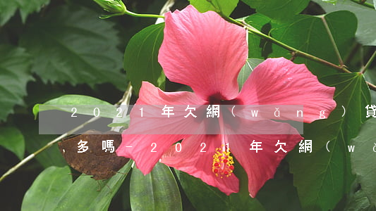 2021年欠網(wǎng)貸還不起的人多嗎-2021年欠網(wǎng)貸還不起的人多嗎知乎