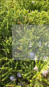 2021年欠网贷会有什么后果-2021年欠网贷会有什么后果吗