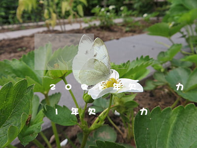2021年欠錢無力償還會坐牢嗎-2021年欠錢無力償還會坐牢嗎知乎