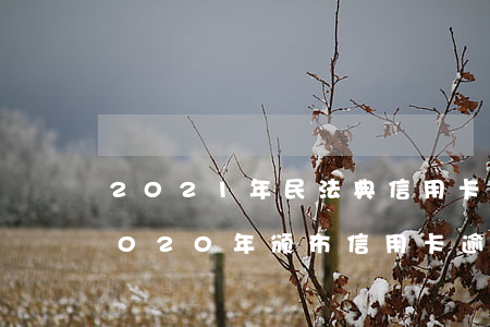 2021年民法典信用卡逾期新规(民法典2020年颁布信用卡逾期)