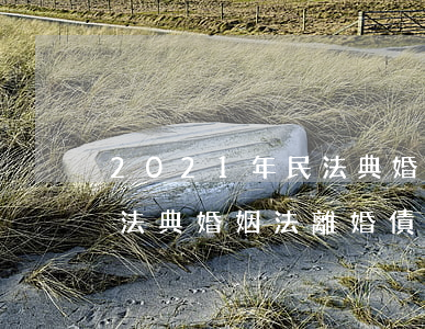 2021年民法典婚姻法離婚(2021年民法典婚姻法離婚債務(wù))