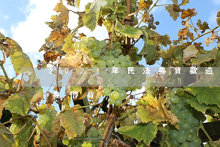 2021年民法典貸款逾期(2021年民法典借貸)