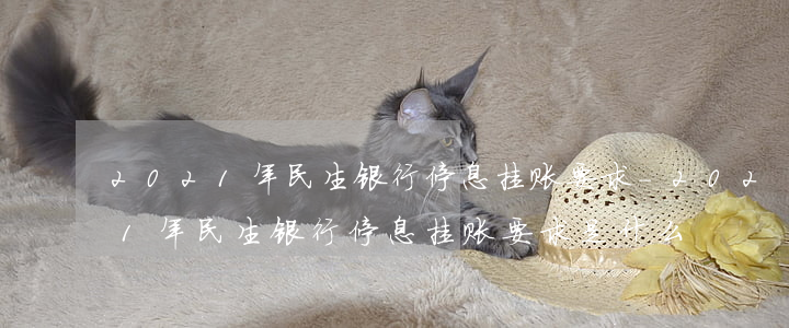 2021年民生银行停息挂账要求-2021年民生银行停息挂账要求是什么
