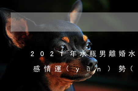 2021年水瓶男離婚(水瓶座男2021年感情運(yùn)勢(shì))