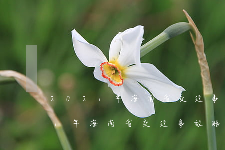 2021年海南省交通事故赔偿标准(2021年海南省交通事故赔偿标准)