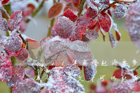 2021年离婚起诉要多久才能离(2021年分居多久才可以起诉离婚)