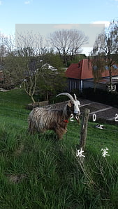 2021年網(wǎng)商貸逾期還款新政策-2021年網(wǎng)商貸逾期還款新政策是什么