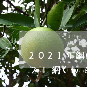 2021年網(wǎng)貸逾期論壇(2021網(wǎng)貸起訴)