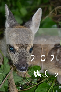 2021年網(wǎng)貸逾期起訴立案應(yīng)訴答辯-2021年網(wǎng)貸逾期起訴立案應(yīng)訴答辯怎么寫
