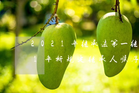 2021年继承法第一继承人(继承法2021年新规定继承人顺序)