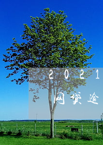 2021年网贷逾期新法规(关于2021年网贷逾期相关法律)
