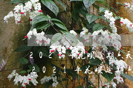 2021年花呗逾期六天会联系通讯录吗-2021年花呗逾期六天会联系通讯录吗知乎
