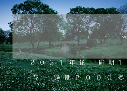 2021年花唄逾期11000會被起訴嗎(花唄逾期2000多久會被起訴,真的會上門嗎?)