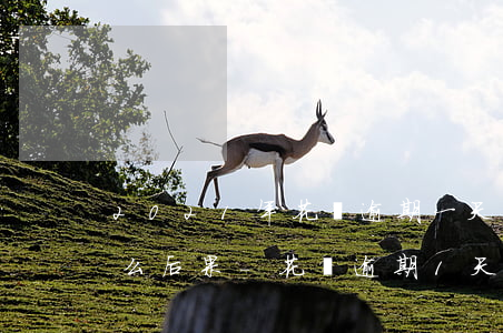 2021年花唄逾期一天會(huì)有什么后果-花唄逾期1天會(huì)有什么后果?,有獎(jiǎng)問答