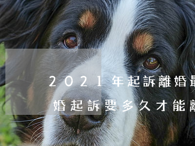 2021年起訴離婚最慢多長(2021年離婚起訴要多久才能離)