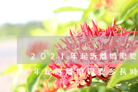 2021年起訴離婚需要多長時間(2021年起訴離婚需要多長時間能辦下來)