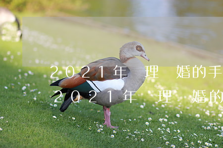 2021年辦理離婚的手續(xù)和流程(2021年辦理離婚的手續(xù)和流程杭州)