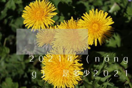 2021年農(nóng)村撫養(yǎng)費是多少(2021年社會撫養(yǎng)費是多少)