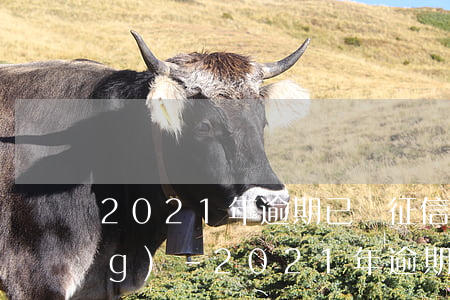 2021年逾期已還征信有何變動(dòng)-2021年逾期已還征信有何變動(dòng)呢
