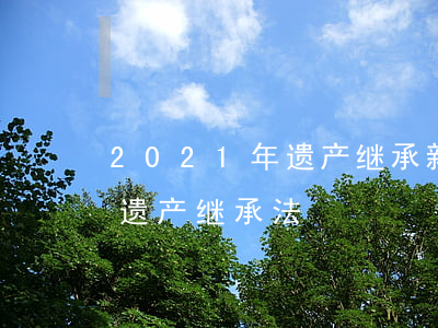2021年遗产继承新规定(2021年新的遗产继承法)