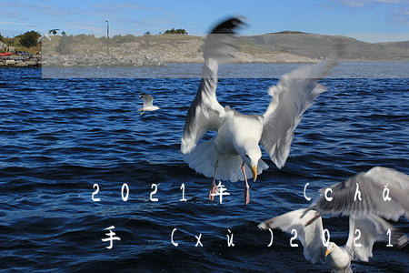 2021年遺產(chǎn)繼承需要什么手續(xù)(2021年新法規(guī)定繼承遺產(chǎn)的人是哪些,其順序怎樣?)