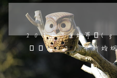 2021年重婚罪請(qǐng)律師打的贏嗎(2021年新婚姻法重婚罪)