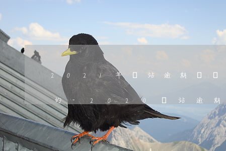 2021年錢站逾期誰協(xié)商成功的-2020錢站逾期怎么辦