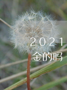 2021年闪电借款还用还吗（闪电有只还本金的吗）