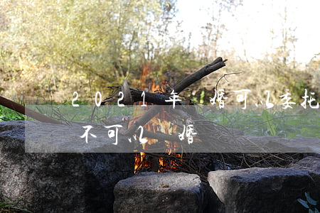 2021年離婚可以委托律師(2021年可不可以離婚)