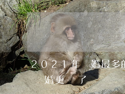2021年離婚最多的省(2021年是不是離婚更難了)