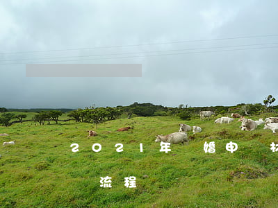 2021年離婚申請材料(2021年離婚申請流程)