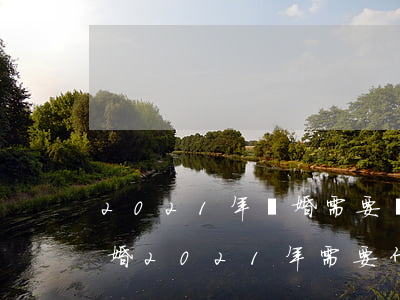 2021年離婚需要辦什么手續(xù)(離婚2021年需要什么手續(xù) 流程)