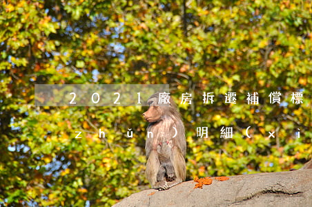 2021廠房拆遷補償標(biāo)準(zhǔn)明細(xì)(2021年房屋拆遷補償標(biāo)準(zhǔn))