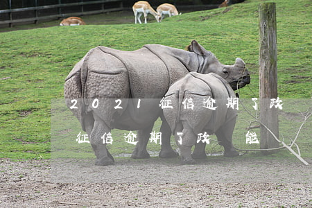 2021征信逾期了政審能過嗎-2021征信逾期了政審能過嗎有影響嗎