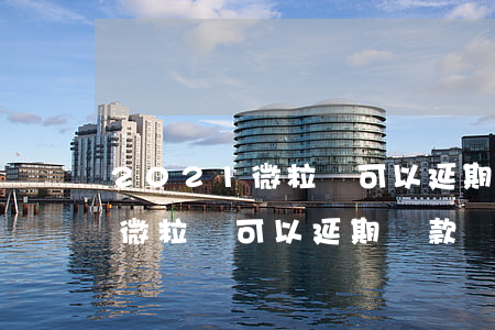 2021微粒貸可以延期還款嗎-2021微粒貸可以延期還款嗎知乎