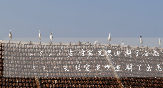 2021支付宝花呗逾期了会怎么样吗-2021支付宝花呗逾期了会怎么样吗知乎