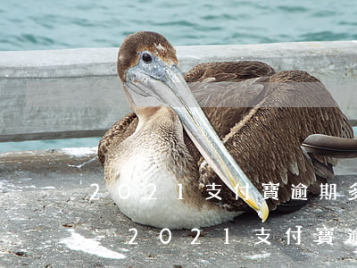 2021支付寶逾期多久會(huì)上門-2021支付寶逾期多久會(huì)上門催收