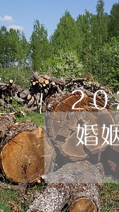 2021新婚姻法小三處理(2020年最新婚姻法規(guī)定找小三)