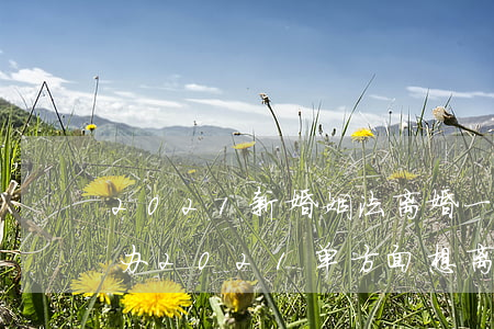 2021新婚姻法离婚一方不同意离婚怎么办(2021单方面想离婚对方不同意怎么办)
