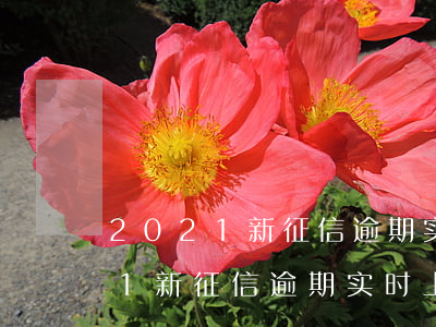 2021新征信逾期实时上报征信-2021新征信逾期实时上报征信吗