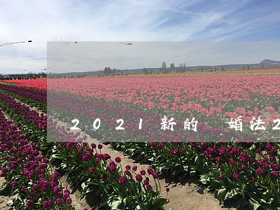 2021新的離婚法(2021新的離婚法)