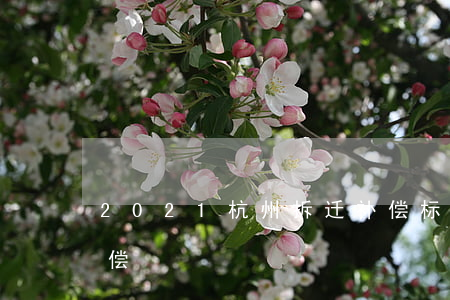 2021杭州拆迁补偿标准明细(杭州拆迁赔偿)