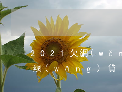 2021欠網(wǎng)貸怎么辦-欠債網(wǎng)貸