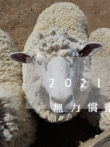 2021欠網貸故意不還(2021年欠網貸無力償還)