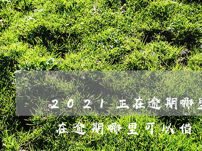 2021正在逾期哪里可以借錢 2021正在逾期哪里可以借錢