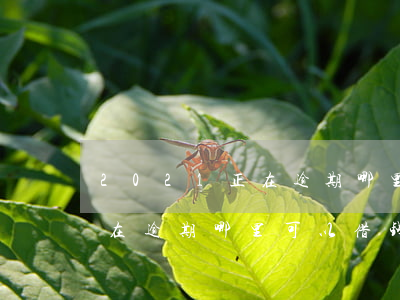 2021正在逾期哪里可以借钱 2021正在逾期哪里可以借钱
